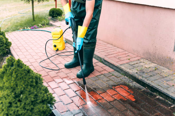 Best Roof Washing  in Hilltop, MN