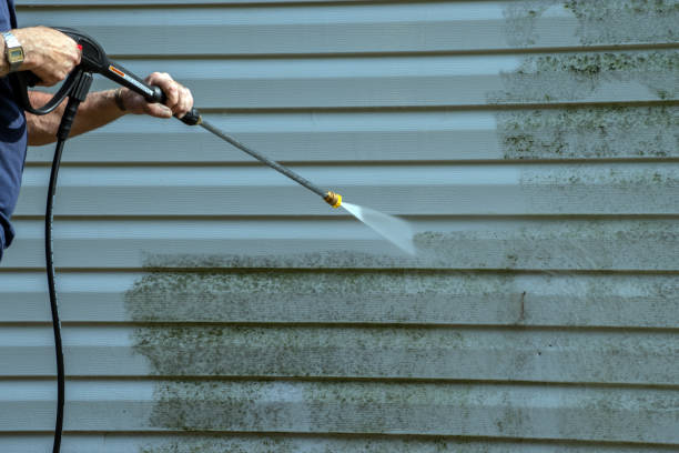 Solar Panel Cleaning in Hilltop, MN