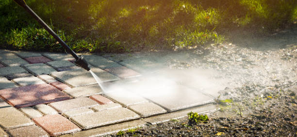 Best Animal Enclosure Cleaning  in Hilltop, MN